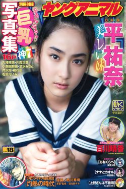 天才基本法小说
